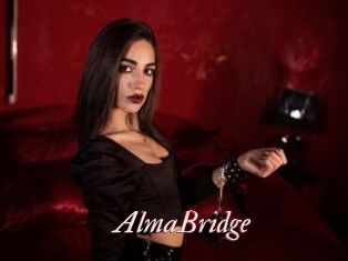 AlmaBridge