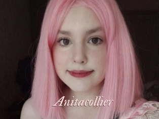 Anitacollier