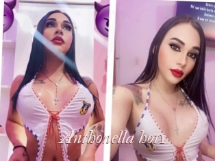 Anthonella_hot1