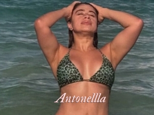 Antonellla