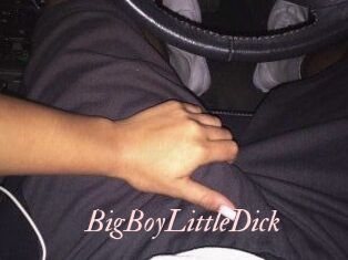 BigBoyLittleDick