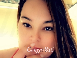Cougar816