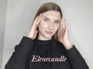 Elenecaudle