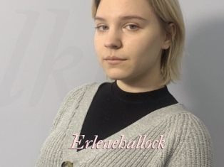 Erlenehallock