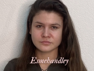 Esmehandley