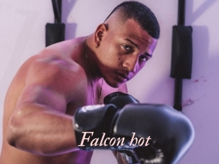 Falcon_hot