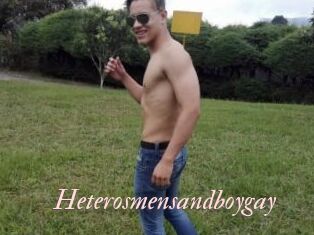 Heterosmensandboygay