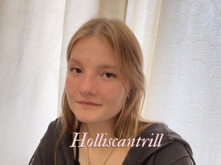 Holliscantrill