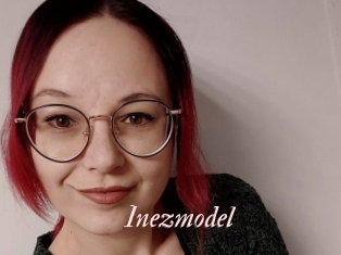 Inezmodel