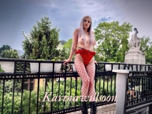 Karinawillsoon