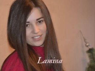 Lamina