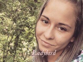Ladybird