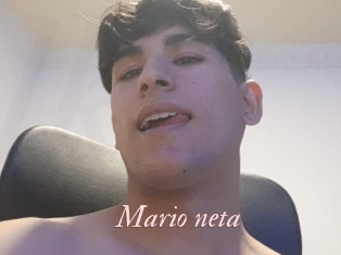 Mario_neta