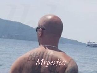Mrperfect