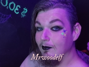 Mrwoodelf