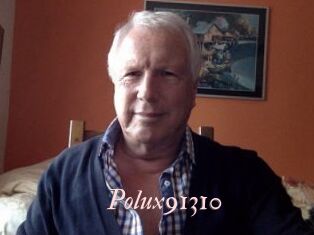Polux91310