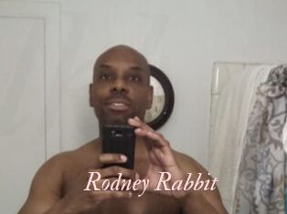 Rodney_Rabbit