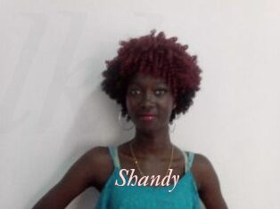 Shandy