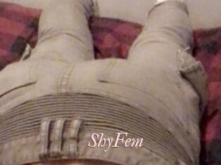 ShyFem