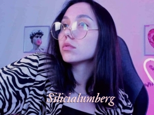 Silicialumberg