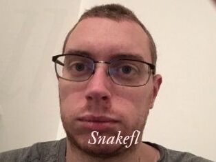 Snakefl