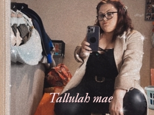 Tallulah_mae