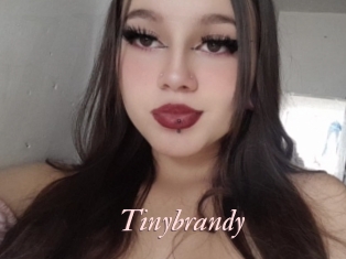 Tinybrandy