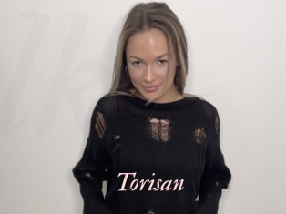 Torisan