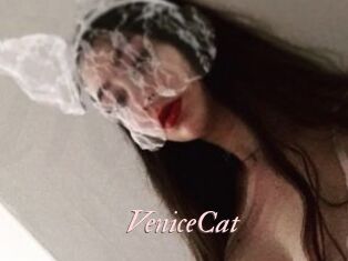 VeniceCat