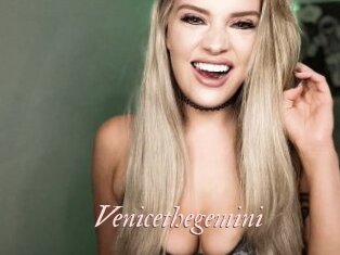 Venicethegemini