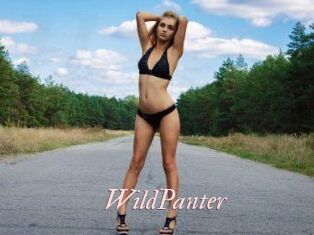 WildPanter