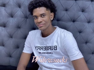 Wilowsacks